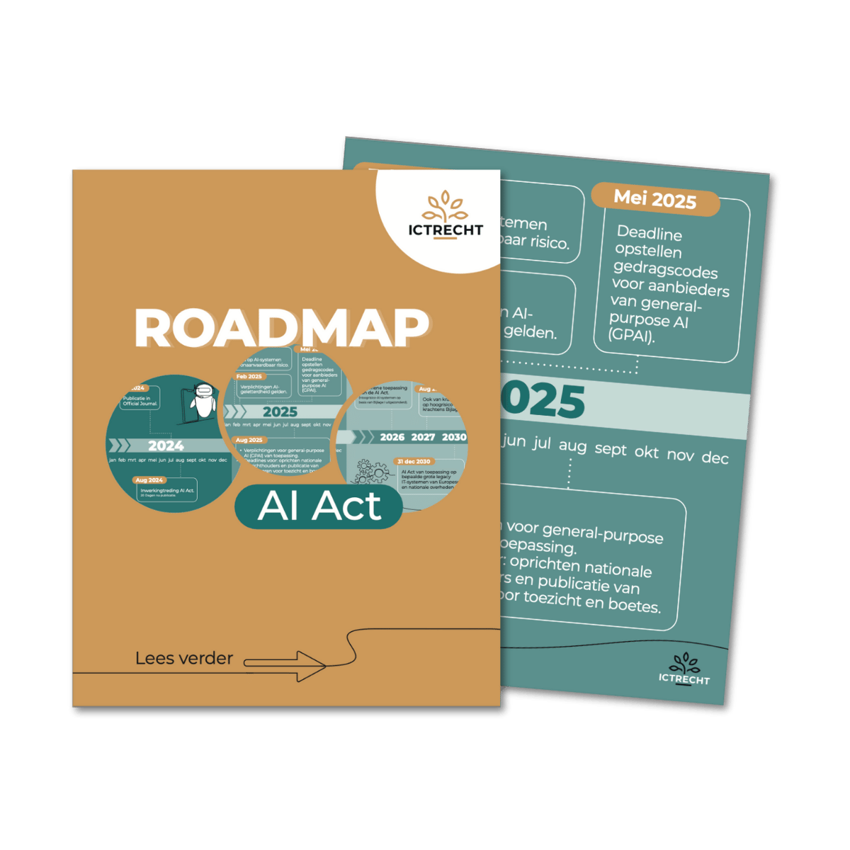 Roadmap visual